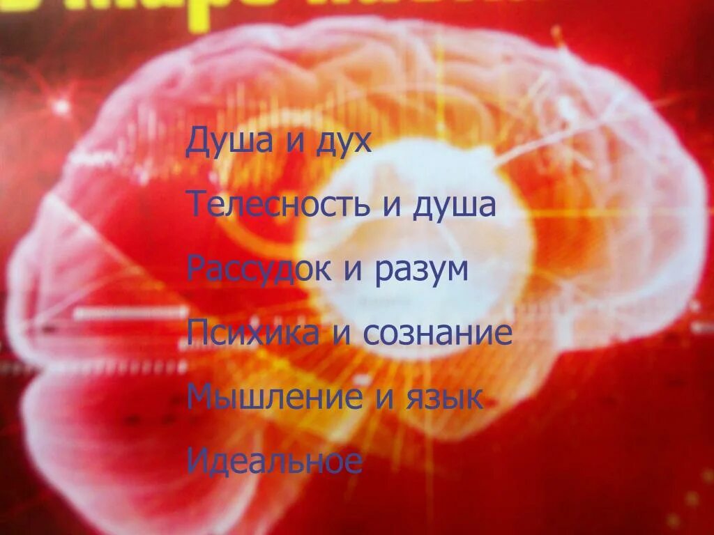 Душа сознание и разум. Ум разум сознание. Душа дух сознание. Про разум, сознание и интеллект.