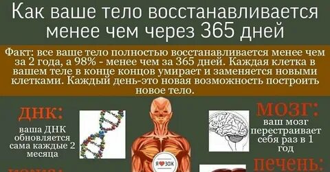 Через 365 дней