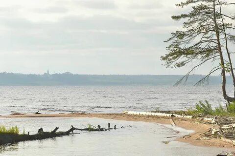 Погода в новой шомохте нижегородской