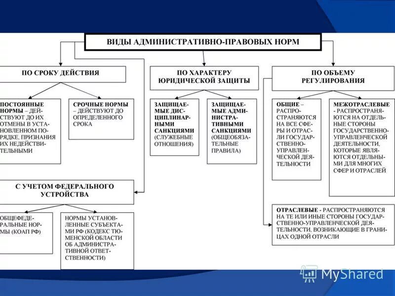 Виды административных правовых норм схема. Классификация административно-правовой нормы схема. Административные нормы субъектов рф