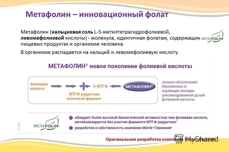 Фолиевая метафолин. Фолиевая метафолин