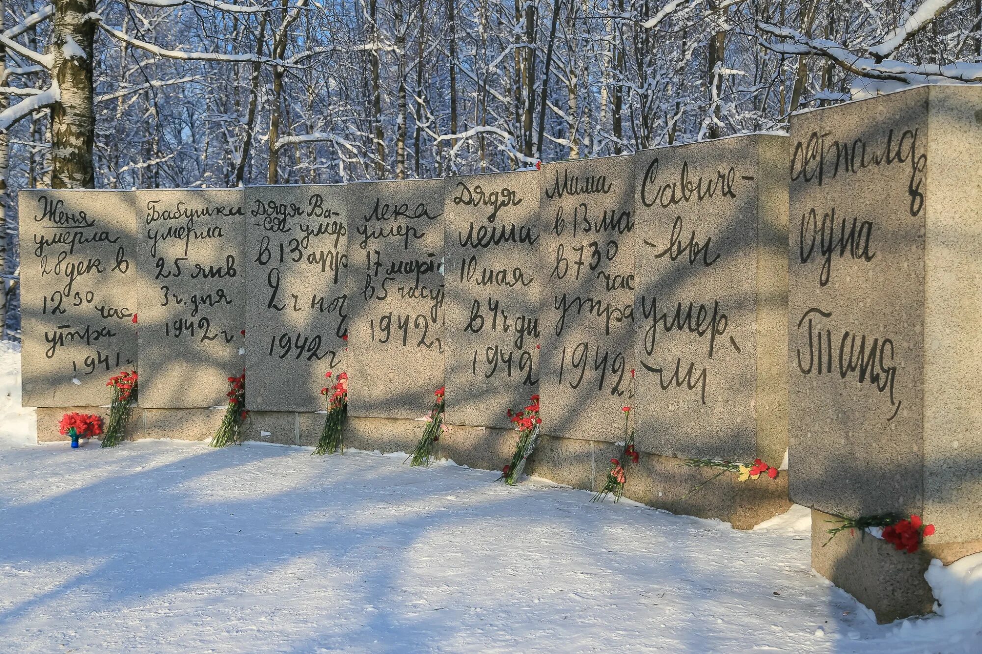 Где находится таня савичева