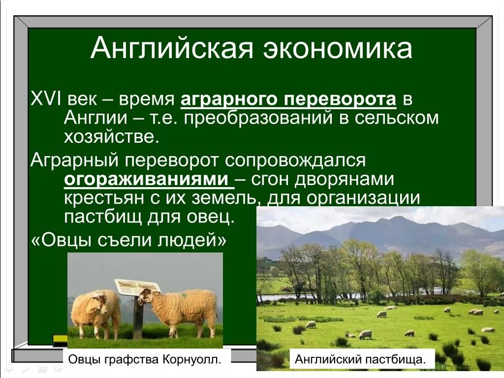 Экономика 16 века. Аграрная революция 18 века в Англии. Сельское хозяйство Англии 16 век. Сельское хозяйство Англии огораживание. Аграрный переворот в Англии 16 век.