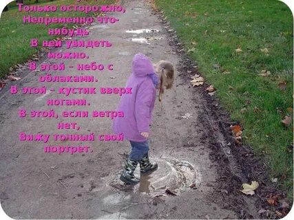 Лужи после этого дождя всегда теплые словосочетания