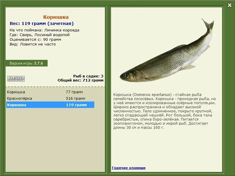 сортавала на карте ленинградской. паромный причал ломоносов. подпорожье вид сверху фото. свирь телеком олонец. свирь телеком олонец.