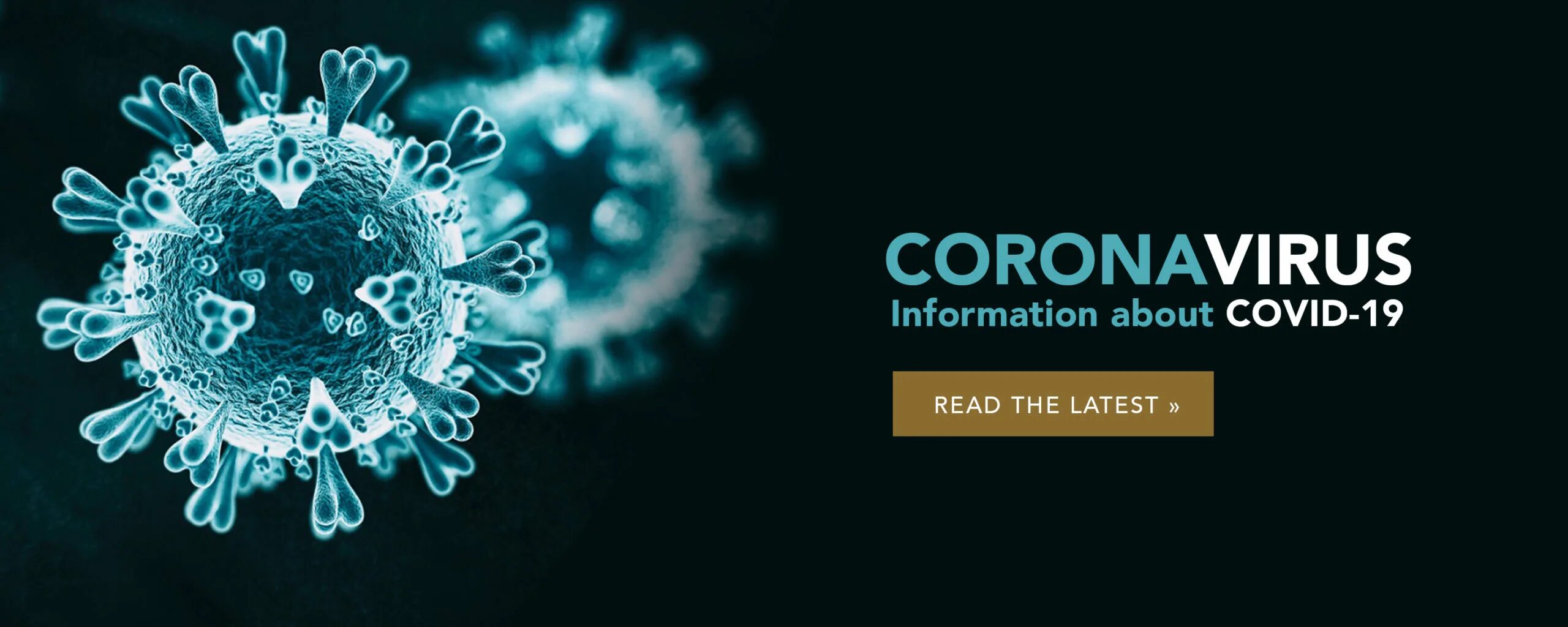 коронавирус под. коронавирус под. вирус covid-19. вирус covid-19. коронавирус sars +3.
