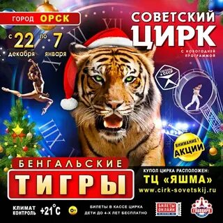 Цирк орск