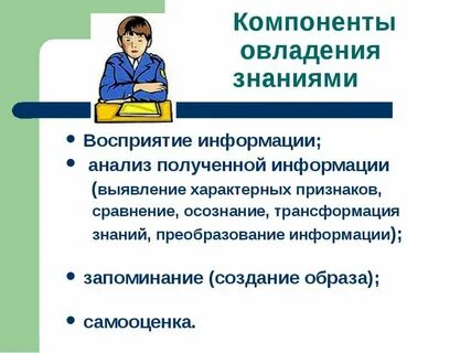 Какими знаниями овладеть