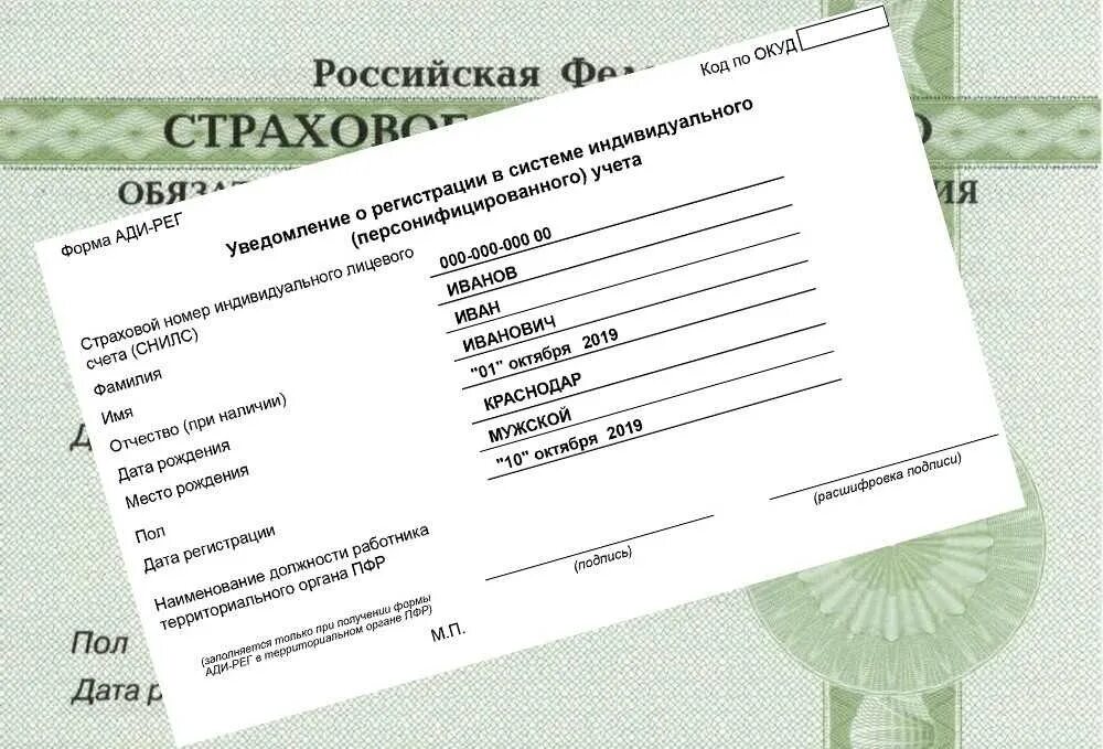 Какой нужен документ на получения снилса. Какой нужен документ на получения снилса