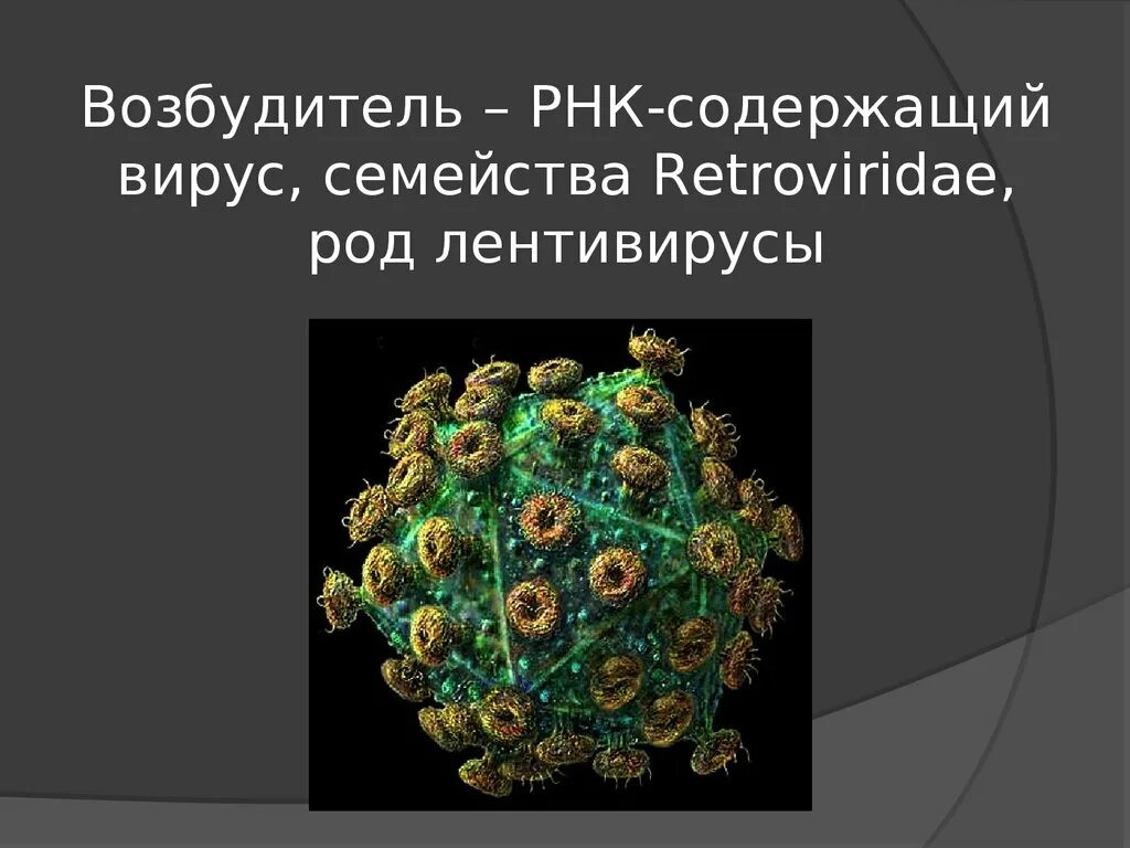 Микобактерии РНК вируса. РНК содержащие вирусы семейства. Оболочечные вирусы семейства. Кошачий вирус иммунодефицита.