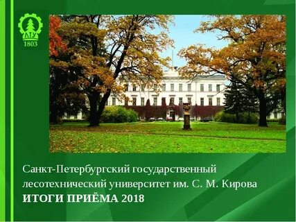 Колледж санкт петербургский государственный лесотехнический университет