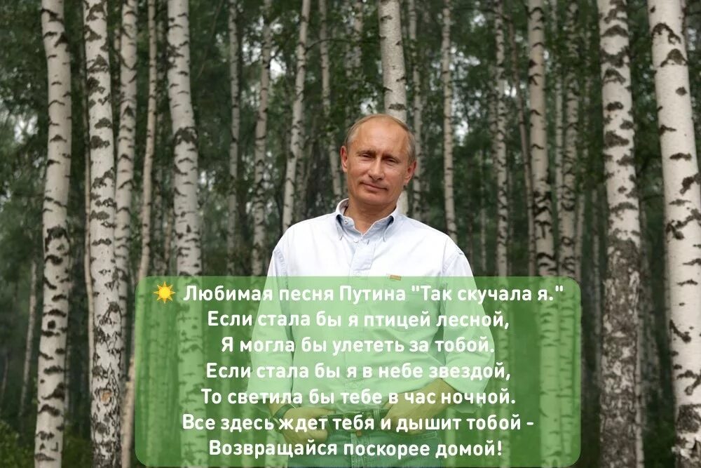 Любимая песня Путина. Любимая песня Путина так. Любимая песня нашего президента. Любимые песни Путина в в.