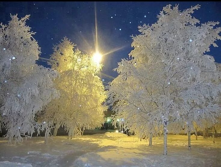 Анимация красивое зимнее