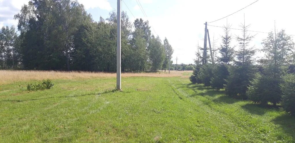 Погода в лупаново. Тис гранат лупаново. Тис гранат лупаново. Прогноз погоды в лупаново на неделю. Прогноз погоды в лупаново на неделю.