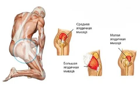 Работа ягодицами