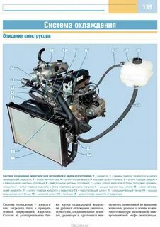 Двигатель 4216 схема охлаждения
