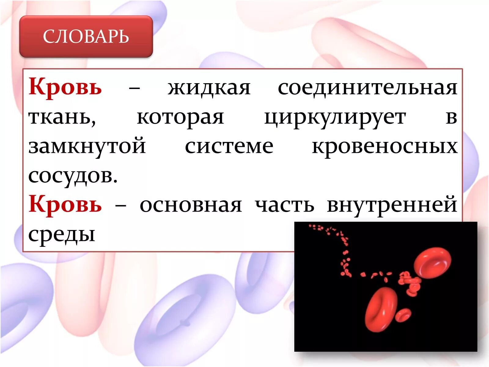 Что значит сильная кровь. Кровь жидкая соединительная ткань. Кровь биология. Значение крови для человека.