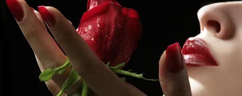 Губы rose