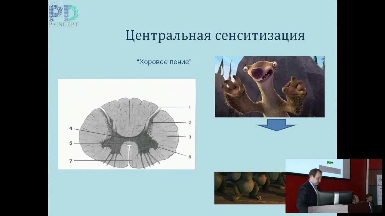 Повторяющиеся эпизоды центральной сенситизации. Центральная и периферическая сенситизация. синдром центральной сенситизации. сенситизация это физиология. механизм периферической сенситизации.