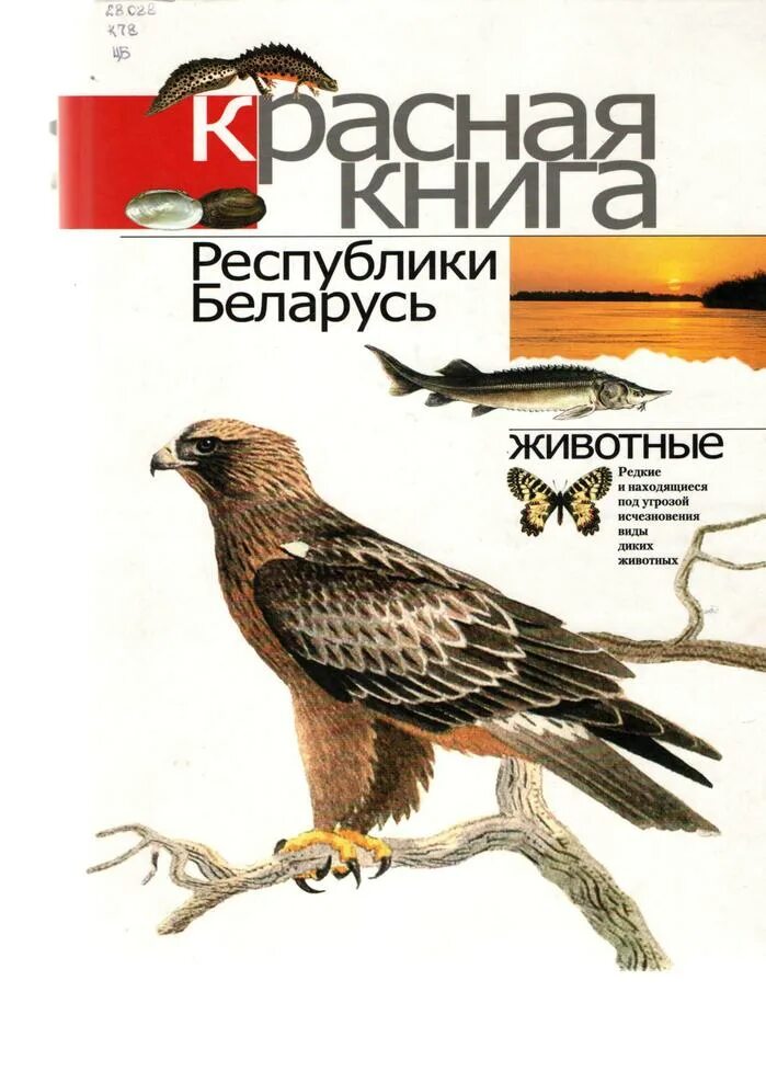 Красная книга республики беларусь животные. Красная книга Республики Беларусь книга. Красная книга Беларуси 1 издание. Животные красной книги Беларуси. Красная книга РБ животные.