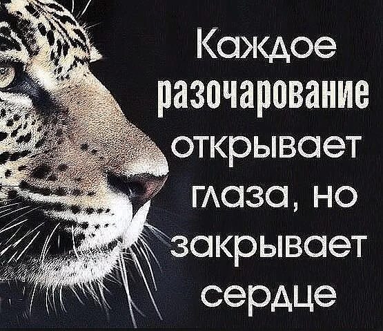 Каждое разочарование открывает глаза. Каждое разочарование открывает глаза но закрывает. Не случайно в жизни происходят такие ситуации. Неслучайно в жизни происходят такие ситуации. Каждое разочарование