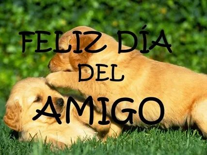 Amigo de que
