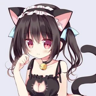 Neko nya webcam