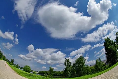 C sky