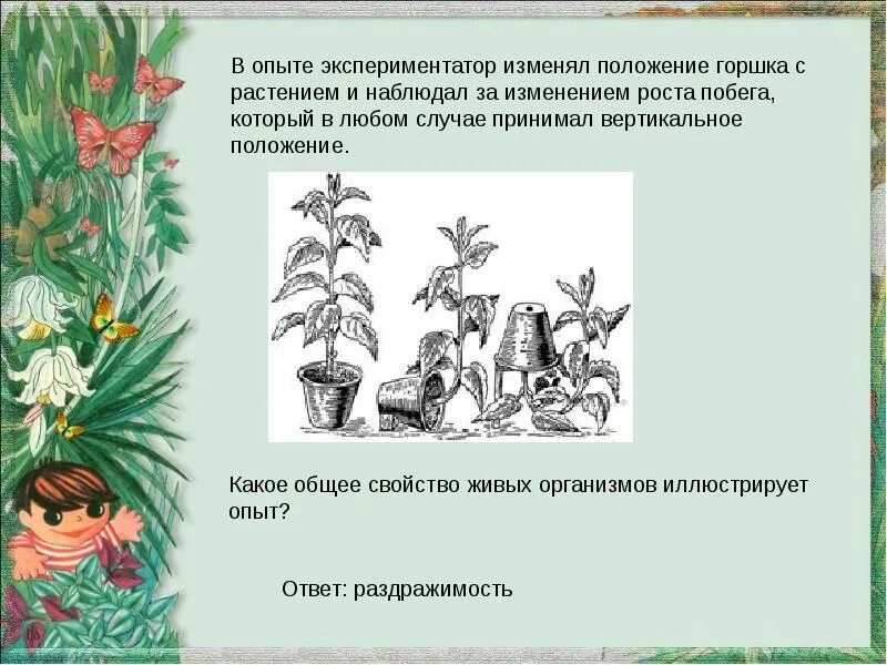 Данный рисунок иллюстрирует. В опыте экспериментатор изменял положение горшка с растением. Изменение роста побега. Опыт наблюдение за ростом побега растений. Экспериментатор поставил горшок с растением под.