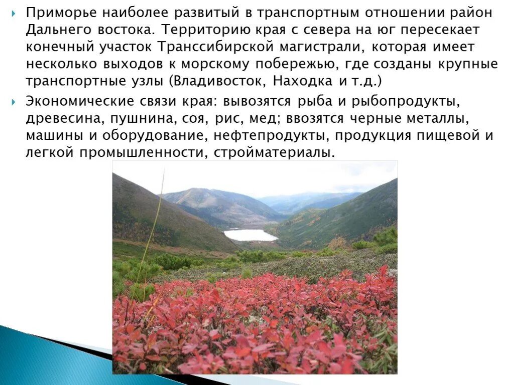 Оценка условий для жизни дальнего востока. Описание природы дальнего Востока. Природа дальнего Востока для детей. Информация на тему Дальний Восток. Юг дальнего Востока растительность.