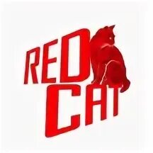 Red cat reason