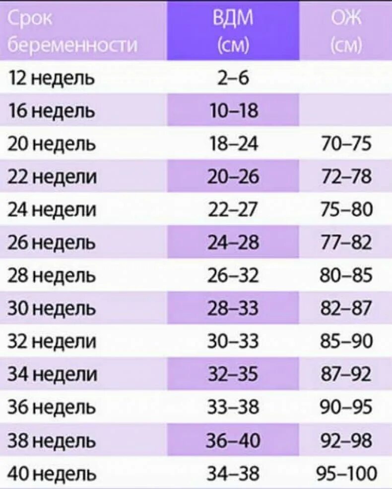 ВДМ И ож при беременности по неделям. Окружность живота при беременности по неделям норма таблица. Высота дна матки по неделям беременности и окружность живота таблица. Окружность живота на 32 неделе беременности норма.