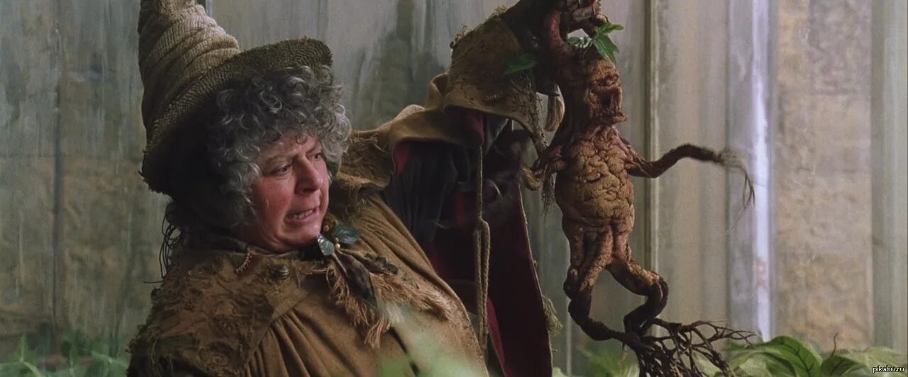 Мандрагора кричит. Мандрагора (1997).