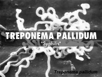 Treponema pallidum суммарные