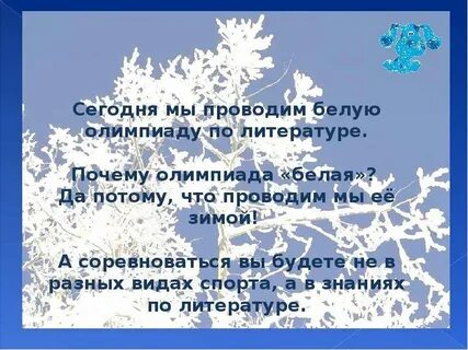 В олимпиаде по литературе принимало участие 48