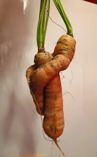 Похожие овощи