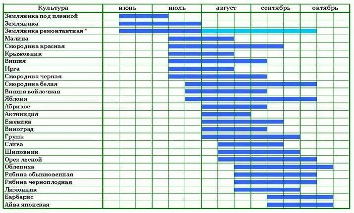 Определить сезонность. График цветения плодовых деревьев. Сроки цветения плодовых деревьев в Подмосковье. Таблица созревания ягод. Календарь цветения плодовых деревьев.