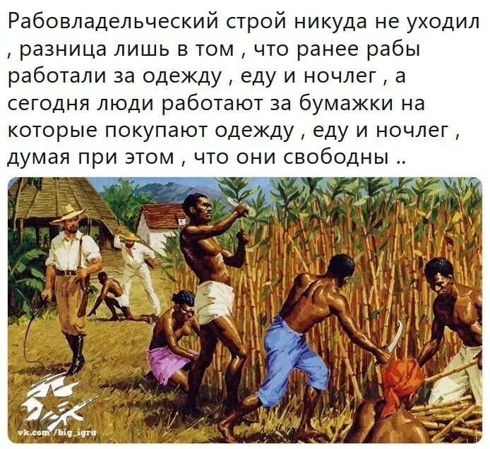 Кем работают рабы. Рабовладельческий слой. рабовладельческий строй никуда не уходил. рабы работают. рабы работают за еду.