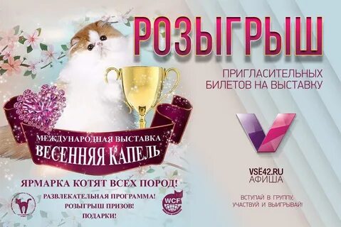 Афиша 42