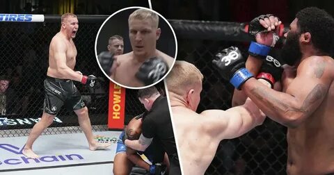12 ноября ufc