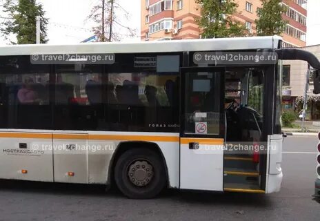 Станция химки шереметьево автобус