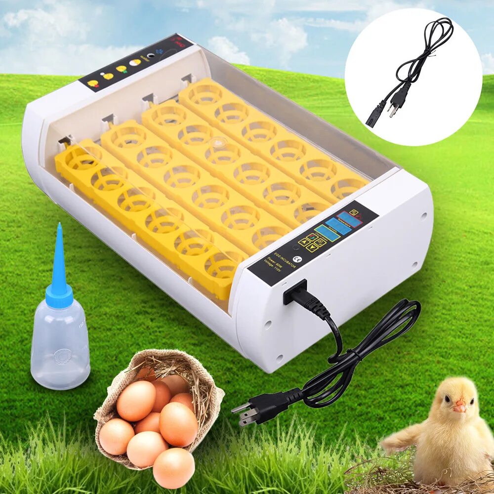 Инкубаторное яйцо купить. Инкубатор Egg incubator. Инкубатор Automatic Mini incubator manual. Инкубатор для яиц автоматический на 24 яйца. Fully Automatic Egg incubator.