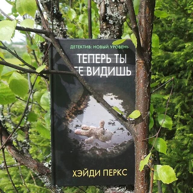 Слушать книгу видящий. Теперь ты ее видишь книга. Теперь ты ее видишь Хейди Перкс. Теперь ты её видишь Хэйди Перкс книга. Книги триллеры.