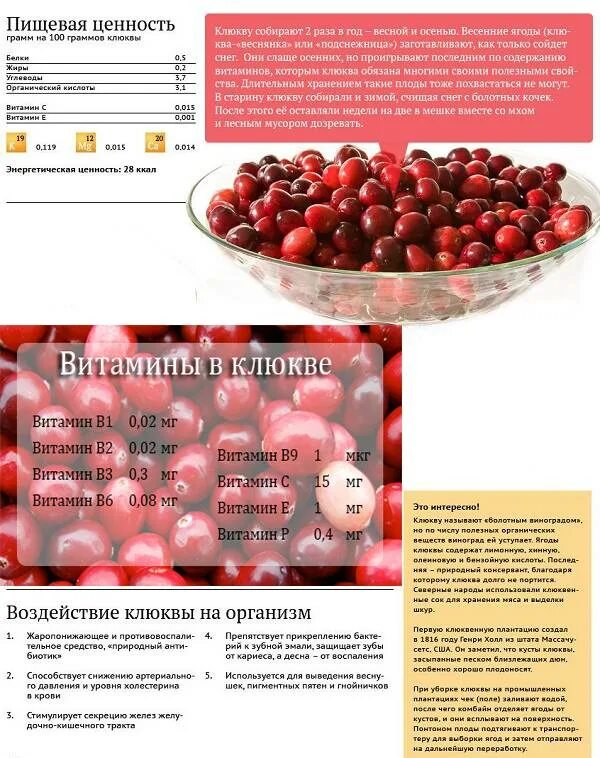 При каких заболеваниях полезна клюква. Клюква польза. содержание витамина с в клюкве. полезные витамины в клюкве. клюква состав.