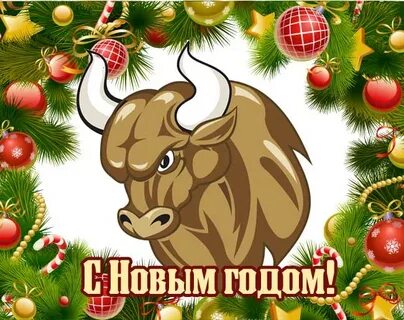 Год быка 20 20