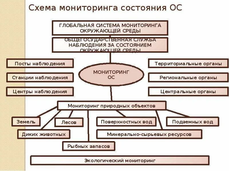 Пример локального мониторинга. Экологический мониторинг схема. глобальная система мониторинга окружающей среды. схема системы мониторинга. экологический мониторинг окружающей среды схема.