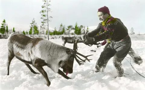 Другой северный