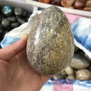 Яйцо динозавра