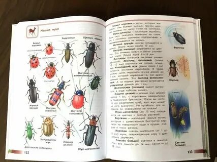 Атлас определитель окружающий мир 1 класс жуки