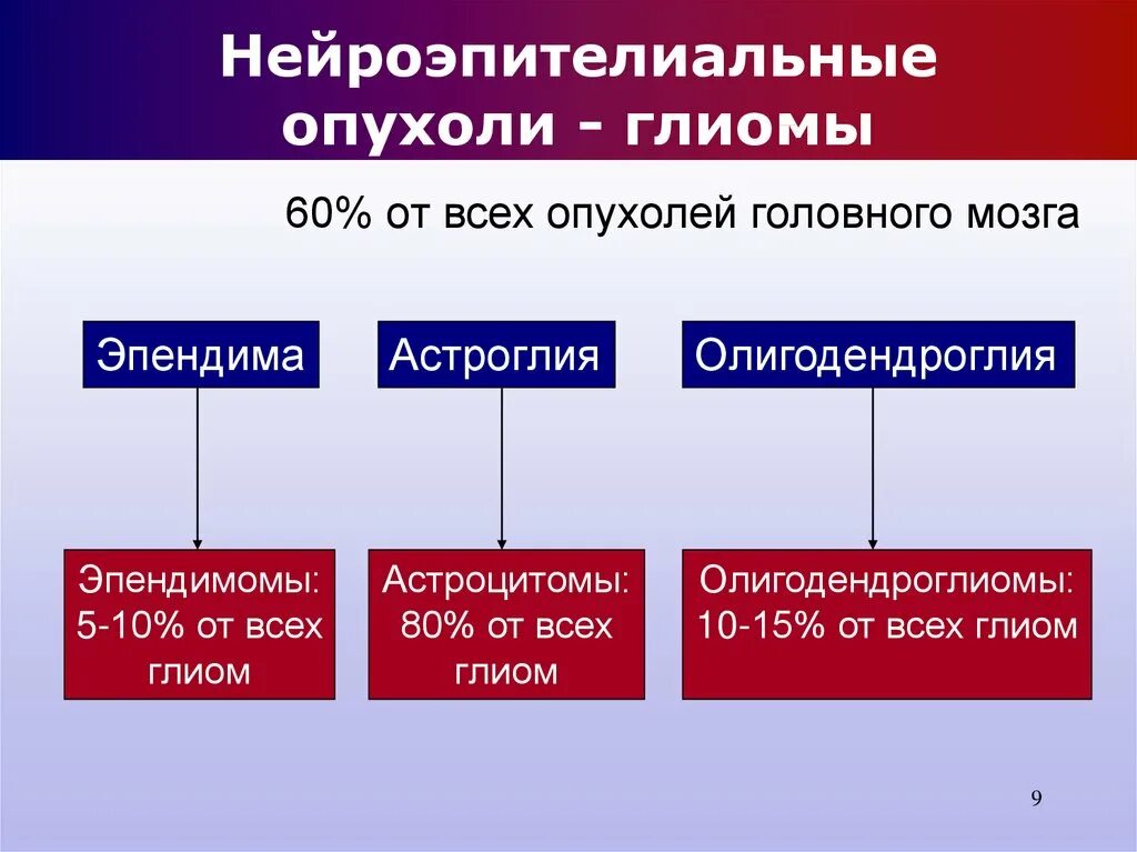 Первичные опухоли центральной нервной системы нмо тест. Нейроэпителиальные опухоли. нейроэпителиальные опухоли классификация. нейроэпителиальные опухоли нервной системы. опухоли головного мозга классификация.